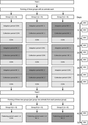 Effect of Two Different Biochars as a Component of Compound Feed on Nutrient Digestibility and Performance Parameters in Growing Pigs